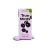True Mints - Blackcurrant