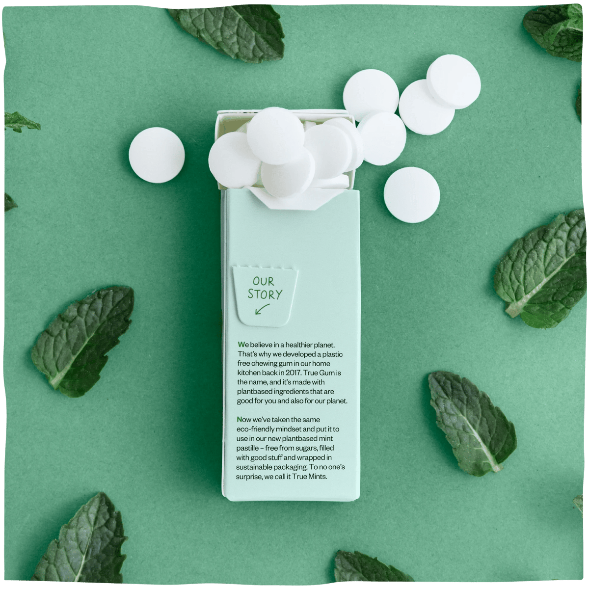 True Mints - Fresh Mint achterkant
