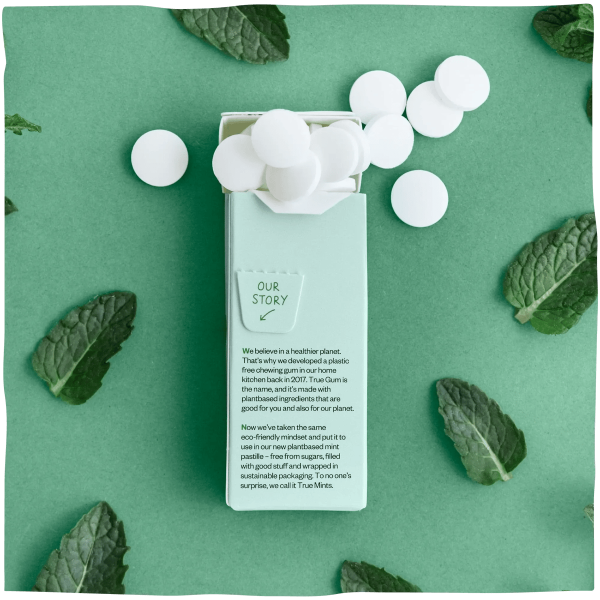 True Mints - Fresh Mint achterkant