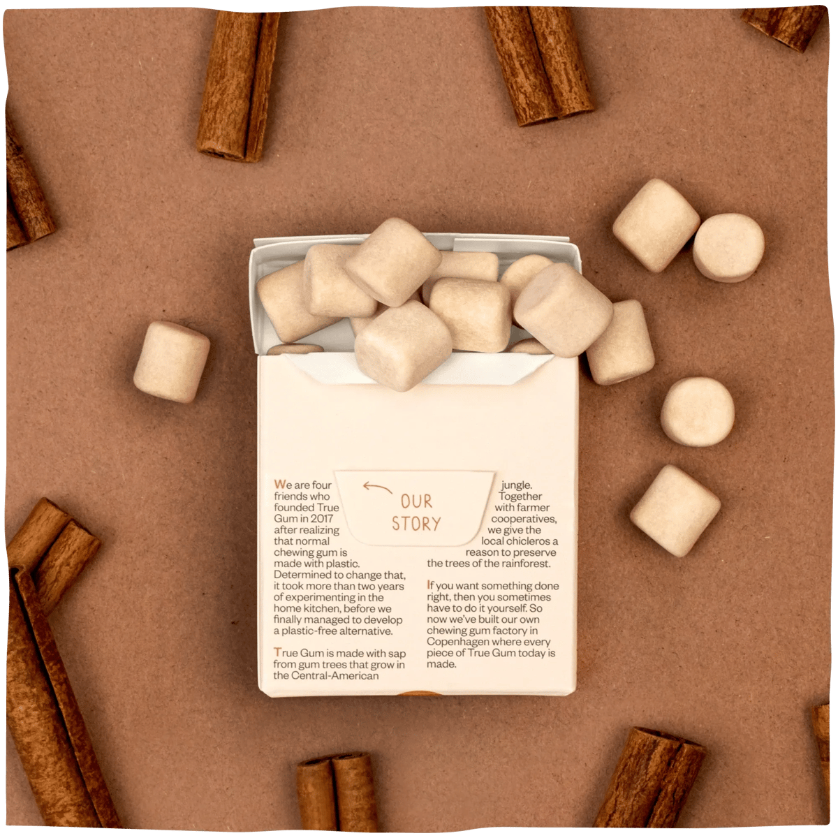 True Gum - Cinnamon achterkant