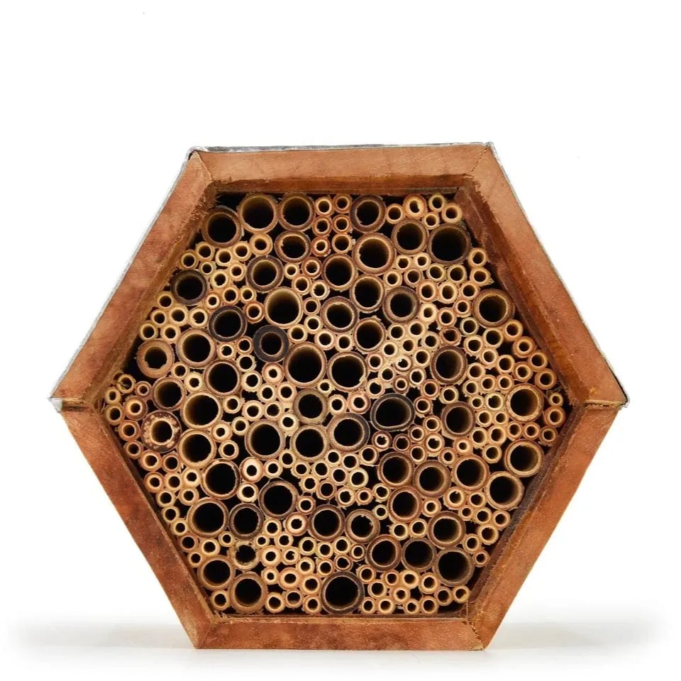 Insectenhotel vanaf de voorkant