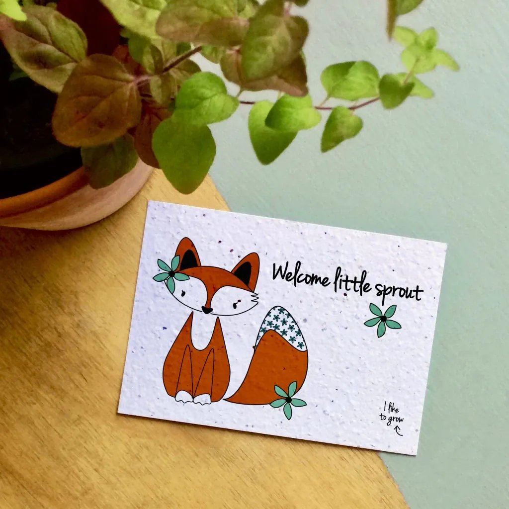 Bloom Your Message Fleurige Bloeikaart Wildbloemen - Welcome Little Sprout