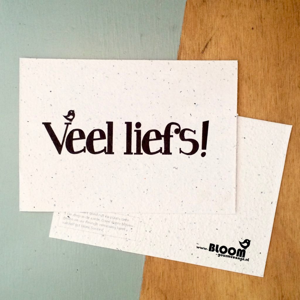 Bloom Your Message Bloeikaart Wildbloemen - Veel Liefs