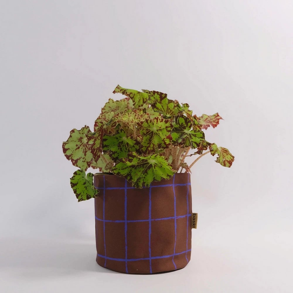 Handgemaakte Plantenmand Biologisch Katoen (22 x 22 cm) Blue Stripes met plant