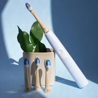 The Humble Co. Bamboe Opzetborstels voor Philips Sonicare (4 stuks) sfeerfoto naast plant op tandenborstel
