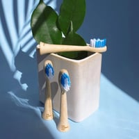 The Humble Co. Bamboe Opzetborstels voor Philips Sonicare (4 stuks) sfeerfoto naast plant