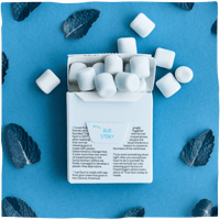 True Gum - Strong Mint achterkant