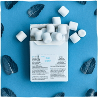 True Gum - Strong Mint achterkant