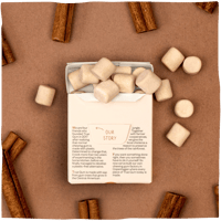 True Gum - Cinnamon achterkant
