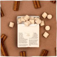 True Gum - Cinnamon achterkant