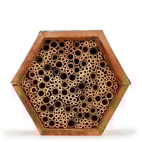 Insectenhotel vanaf de voorkant