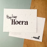 Bloom Your Message Bloeikaart Wildbloemen - Hiep Hiep Hoera