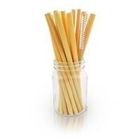 Bambaw bamboe rietjes in pot