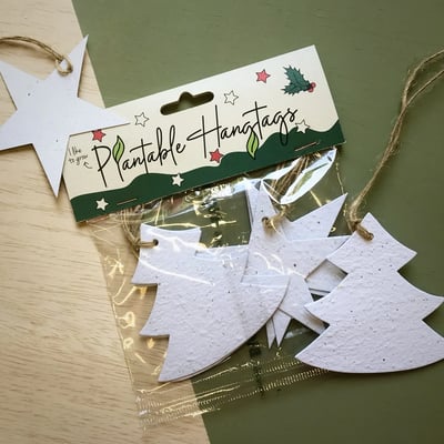 Bloom Your Message Bloeiende Kersthangers (6 stuks)