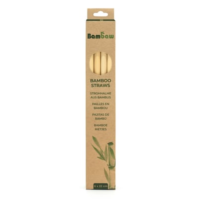 Bamboe rietjes 6 stuks van 22cm in verpakking