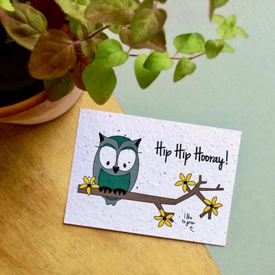 Bloom Your Message Fleurige Bloeikaart Wildbloemen - Hip Hip Hooray
