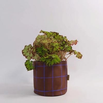 Handgemaakte Plantenmand Biologisch Katoen (22 x 22 cm) Blue Stripes met plant