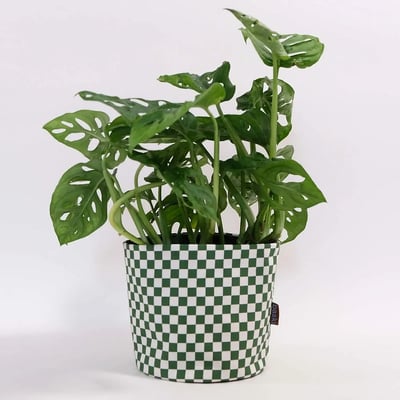 Baski Handgemaakte Plantenmand Biologisch Katoen (22 x 22 cm) Green Chess  met plant