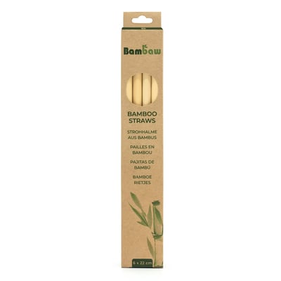 Bamboe rietjes 6 stuks van 22cm in verpakking